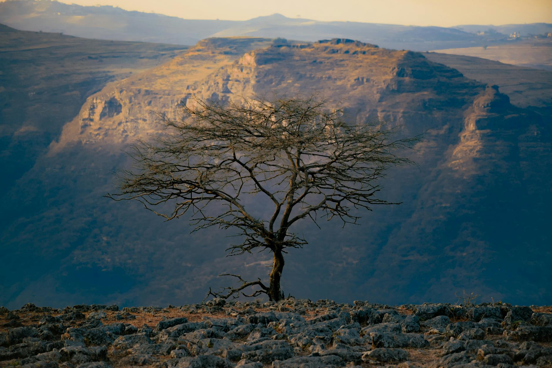 Hauts plateaux d'Éthiopie au coucher du soleil