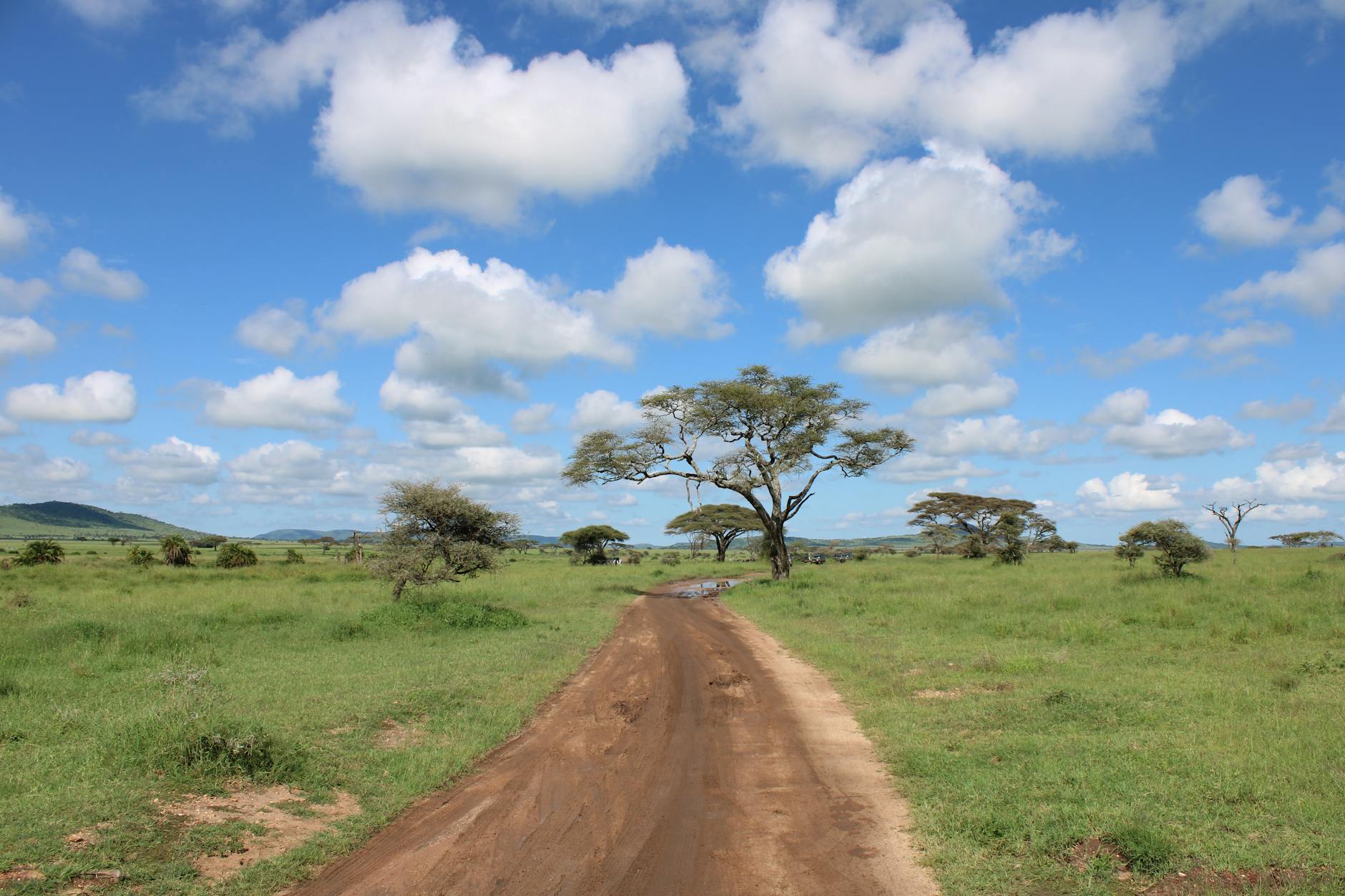 Fleuve Rufiji au lever du jour, Tanzanie