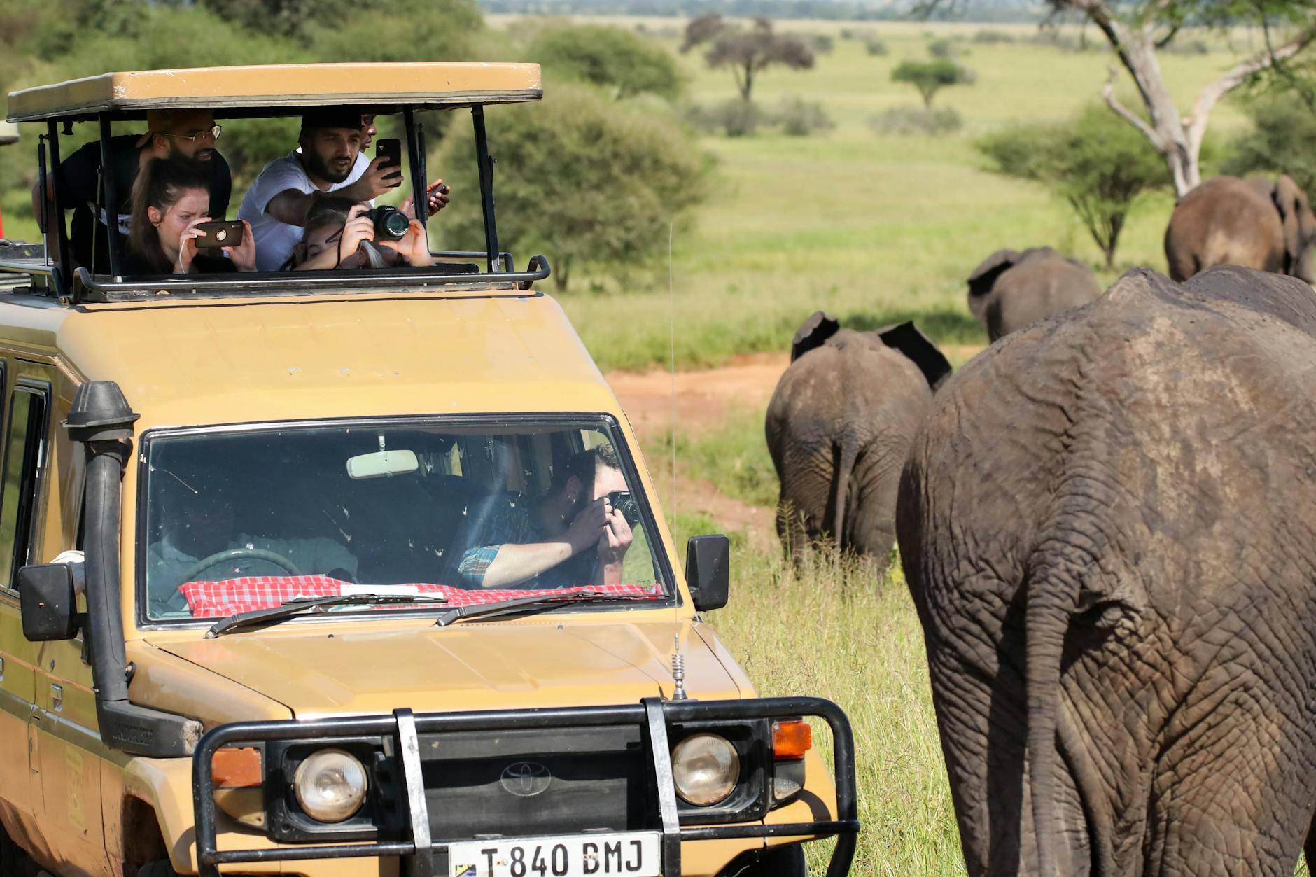 Voyageurs seniors observant des éléphants depuis un 4x4