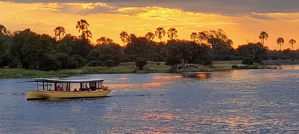 Bateau de safari sur le Zambèze, lumière dorée du soir