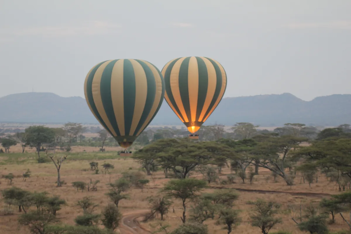 Two hot-air balloons above the Serengeti at daybreak