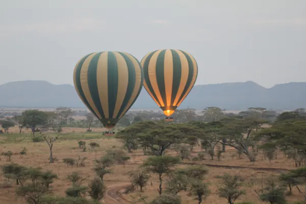 Deux montgolfières au-dessus de la savane du Serengeti au lever du jour