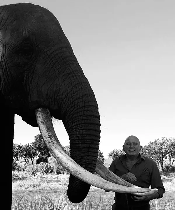 Patrick face à un éléphant aux très longues défenses, en noir et blanc